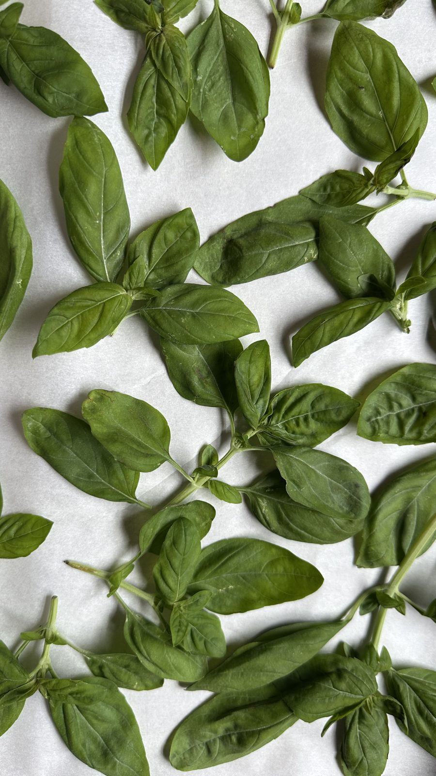 Flash Frozen Basil