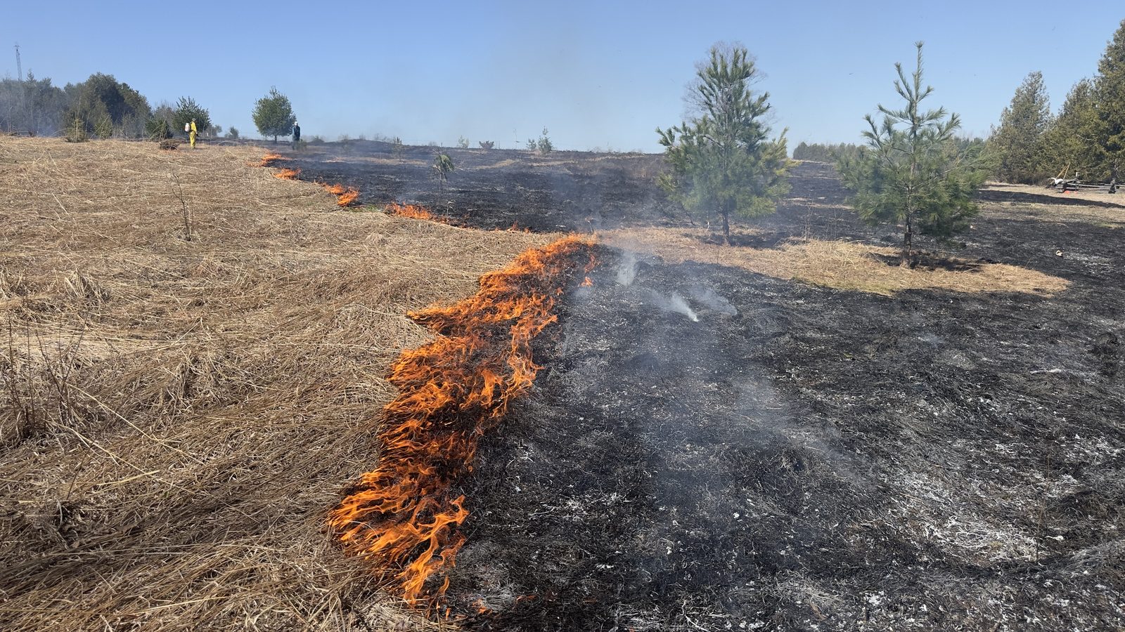 Prairie Burn