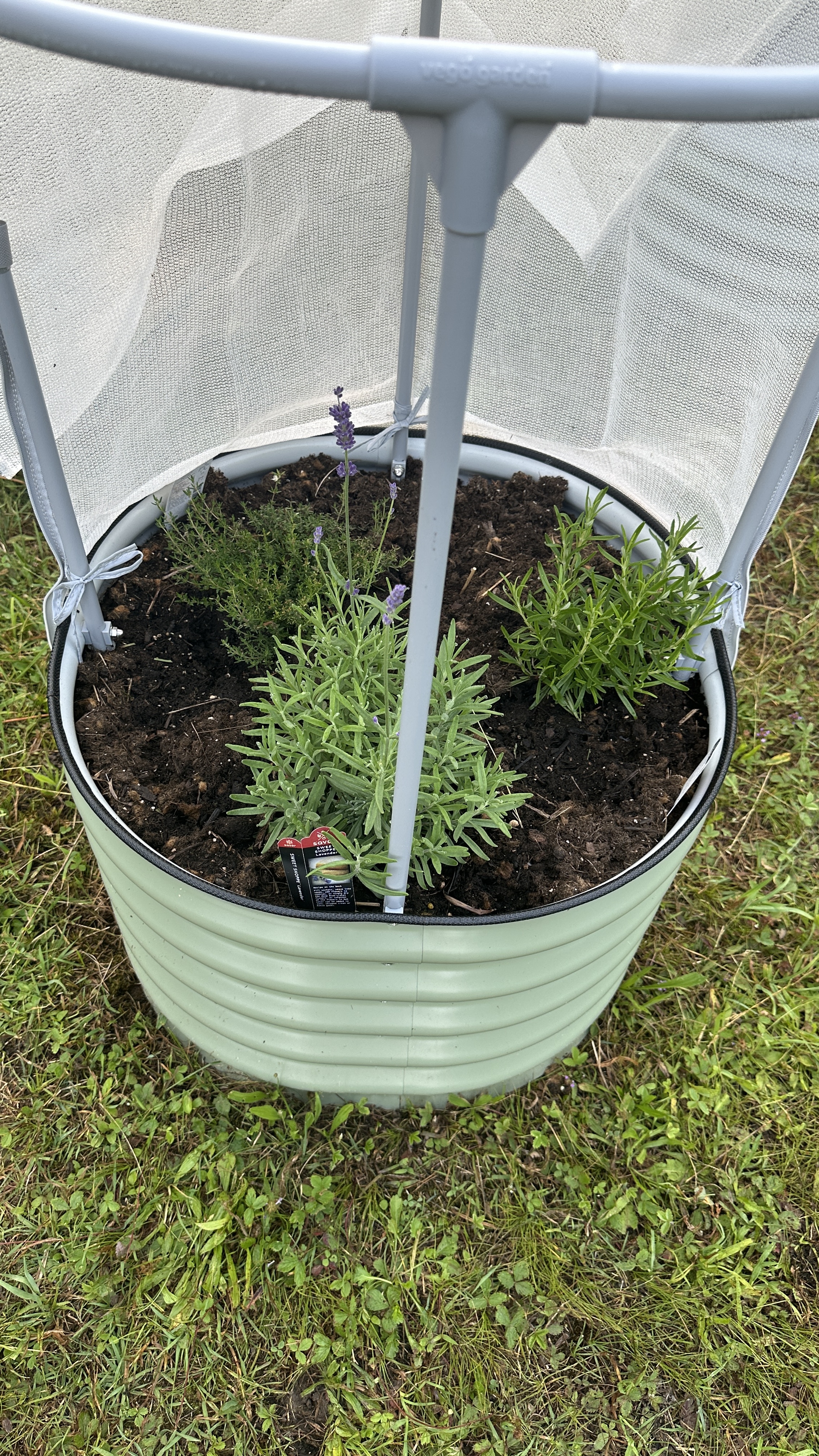 Raised Bed Herb Garden