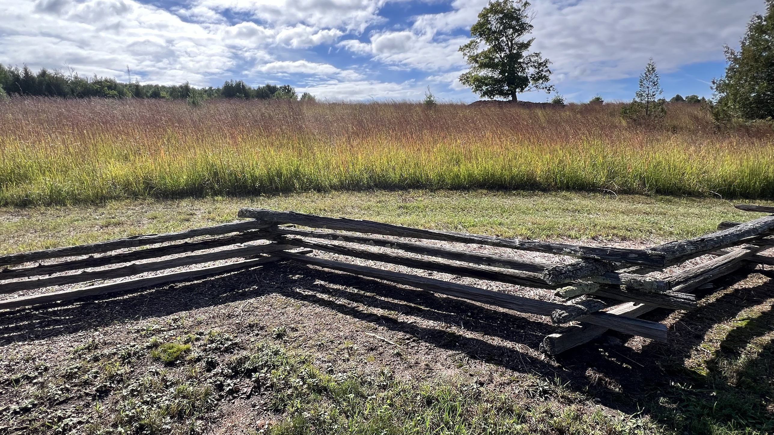 Split-Rail Fence Corner